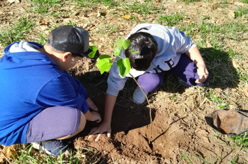 DIA DA ÁRVORE É CELEBRADO POR ALUNOS DO ÁUREA SOARES COM PLANTIO DE MUDAS NA FAZENDA TAJÁ