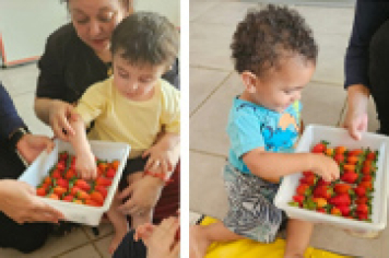 ATIVIDADE LÚDICA COM MORANGOS ENCANTA CRIANÇAS DA CRECHE