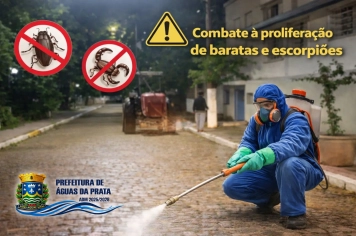 PREFEITURA INICIA COMBATE À ESCORPIÕES NA CIDADE
