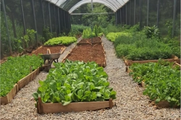 7ª CAMPANHA MUNICIPAL DE DIABETES - A INFORMAÇÃO DA VOZ AO “TRATAMENTO” ACONTECE NESTE SÁBADO EM ÁGUAS DA PRATA