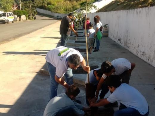 ALUNOS PLANTAM ÁRVORES NO DIA MUNDIAL DO MEIO AMBIENTE