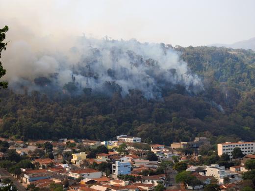 ÁREA DO “BOSQUE DA PRATA” VOLTA A SER ATINGIDA PELAS CHAMAS