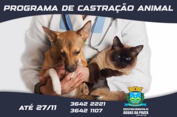 INTERESSADOS EM CASTRAR SEUS ANIMAIS DEVEM SE MANIFESTAR ATÉ DIA 27