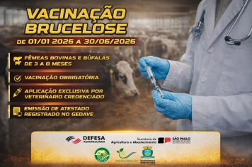 ATENÇÃO PRODUTORES RURAIS: COMEÇA A VACINAÇÃO CONTRA A BRUCELOSE 