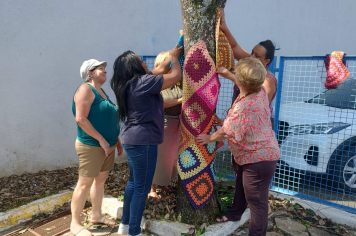 “AGASALHANDO UMA ÁRVORE” PROMOVE UNIÃO DA COMUNIDADE E RESPEITO À NATUREZA