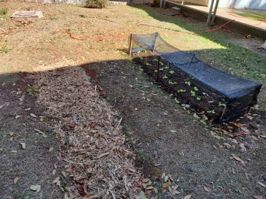 SECRETARIA DE MEIO AMBIENTE INICIA PILOTO DE COMPOSTAGEM