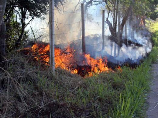 FOGO NO MATO AGRAVA PROBLEMAS RESPIRATÓRIOS E O RISCO DE CONTÁGIO
