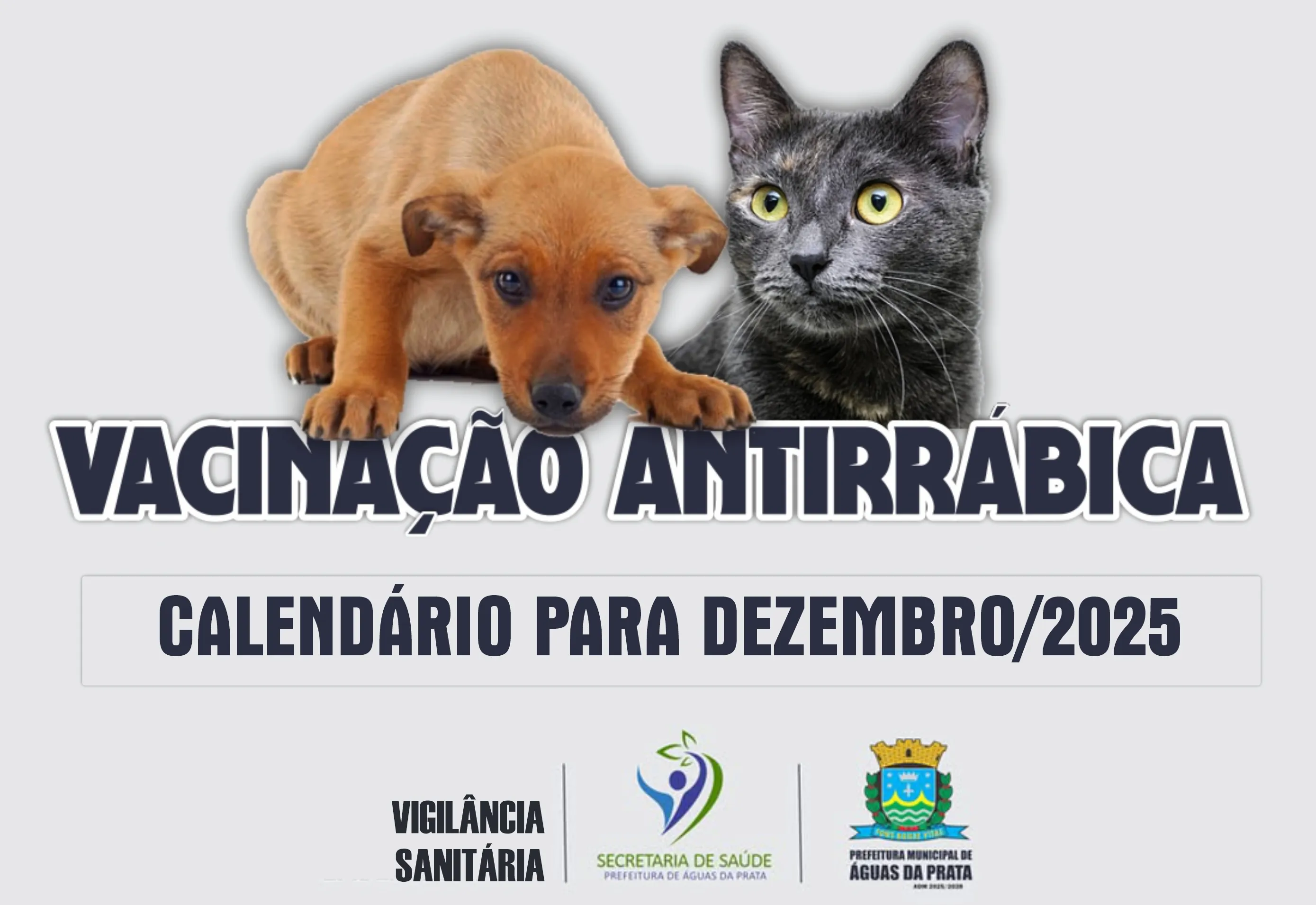 ATENÇÃO PARA O CALENDÁRIO DE VACINAÇÃO ANTIRRÁBICA EM DEZEMBRO 