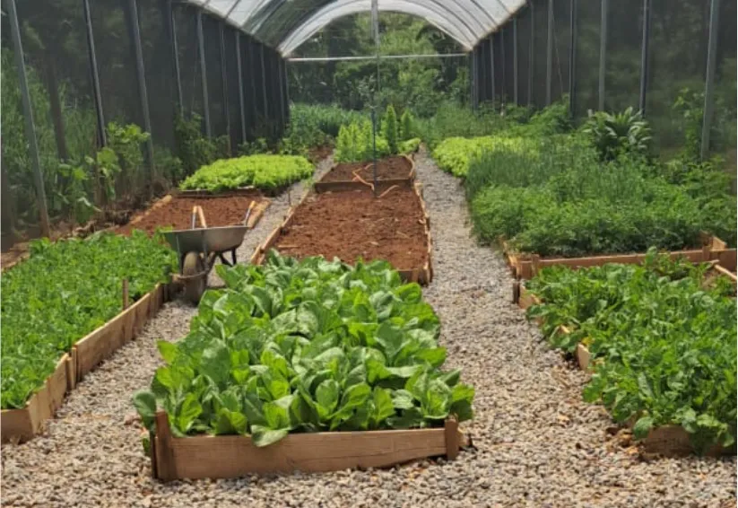 7ª CAMPANHA MUNICIPAL DE DIABETES - A INFORMAÇÃO DA VOZ AO “TRATAMENTO” ACONTECE NESTE SÁBADO EM ÁGUAS DA PRATA